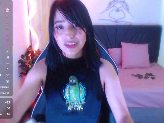 Palmerfox-tay webcam