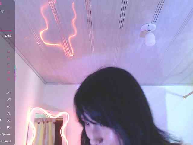 Palmerfox-tay webcam