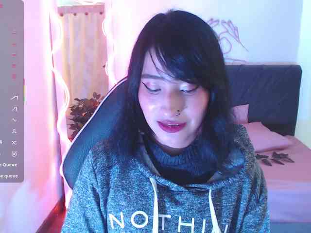 Palmerfox-tay webcam