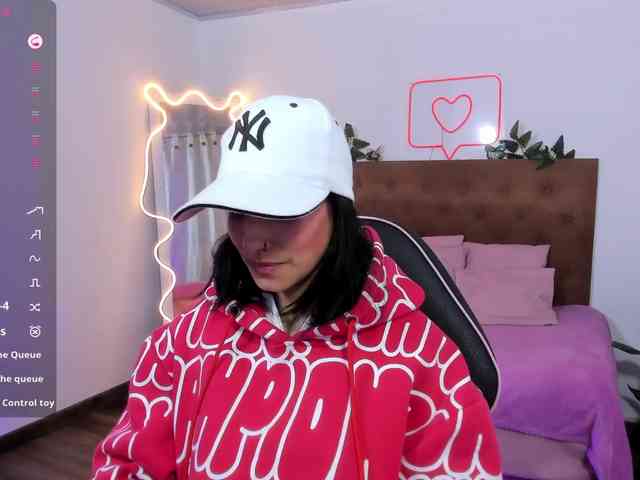 Palmerfox-tay webcam