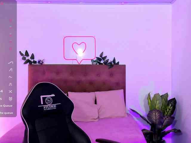 Palmerfox-tay webcam