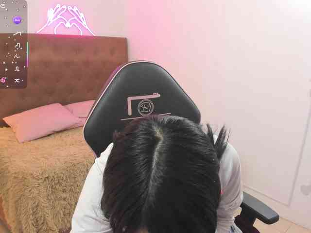 Palmerfox-tay webcam