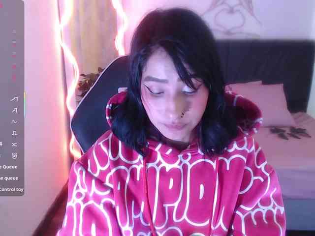 Palmerfox-tay webcam