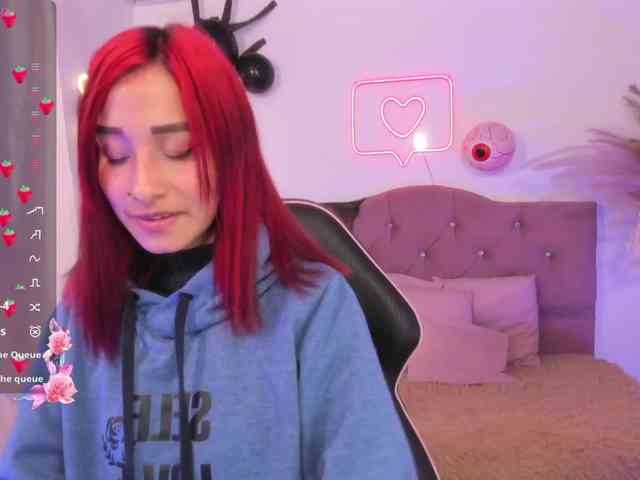 Palmerfox-tay webcam