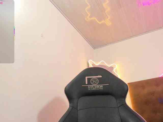 Palmerfox-tay webcam