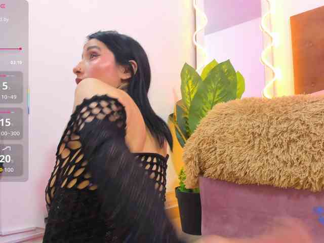 Palmerfox-tay webcam