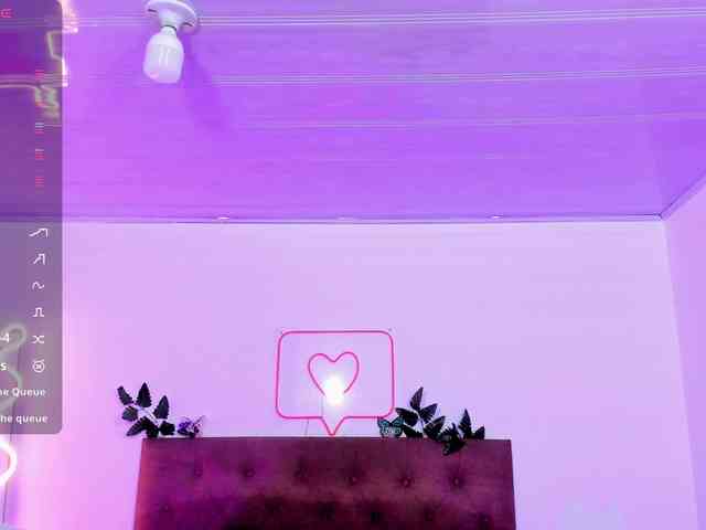 Palmerfox-tay webcam