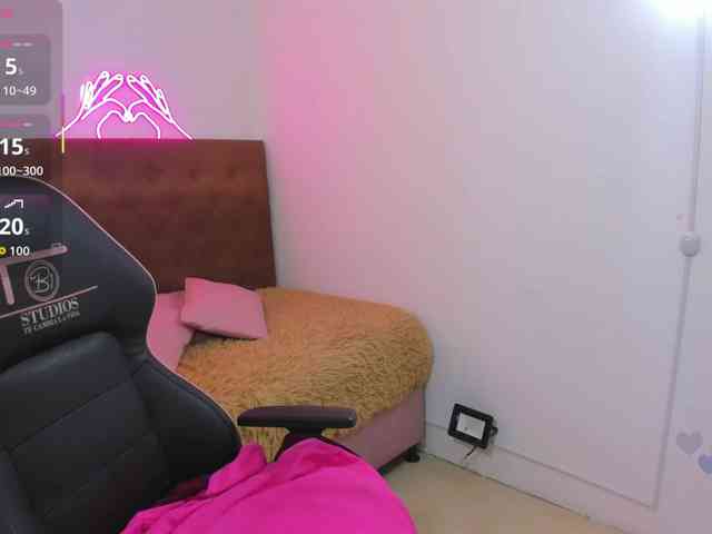 Palmerfox-tay webcam