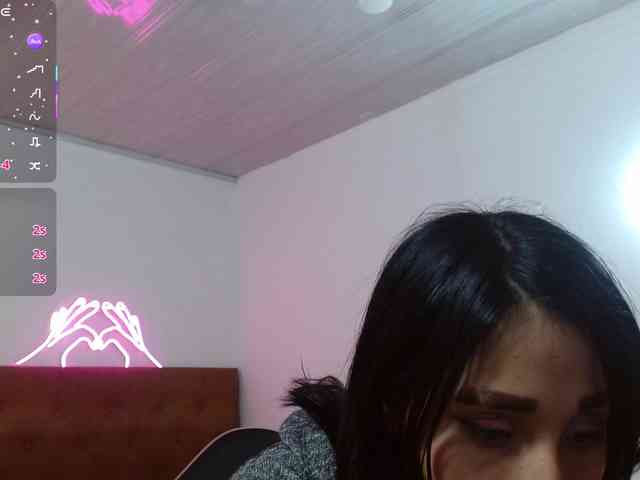 Palmerfox-tay webcam