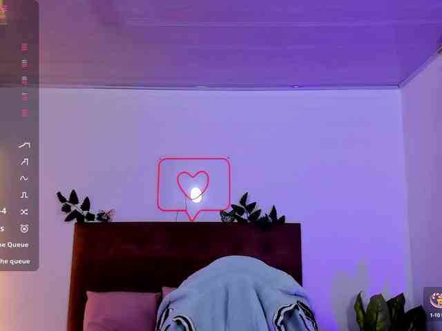 Palmerfox-tay webcam