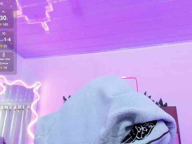 Palmerfox-tay webcam