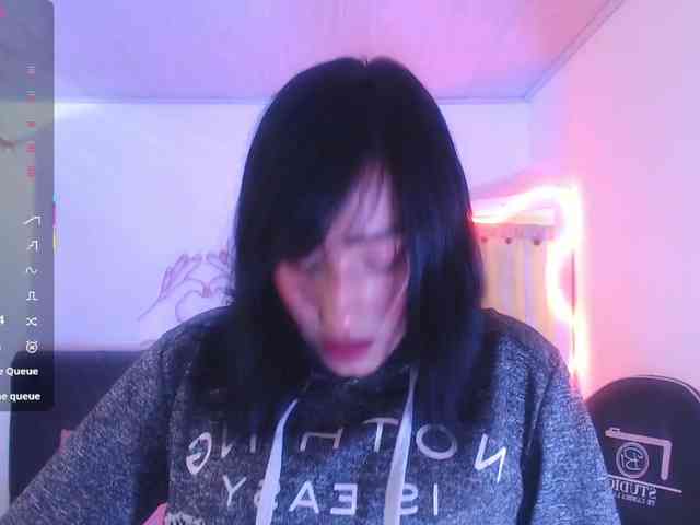 Palmerfox-tay webcam