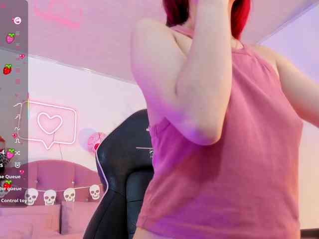 Palmerfox-tay webcam