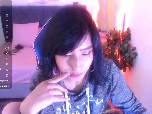 Palmerfox-tay webcam