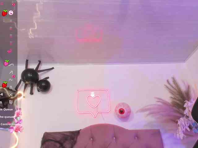 Palmerfox-tay webcam