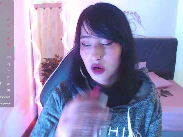 Palmerfox-tay webcam