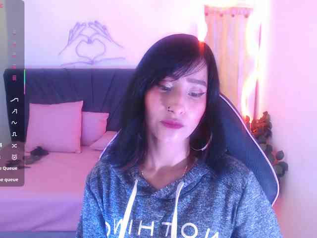 Palmerfox-tay webcam