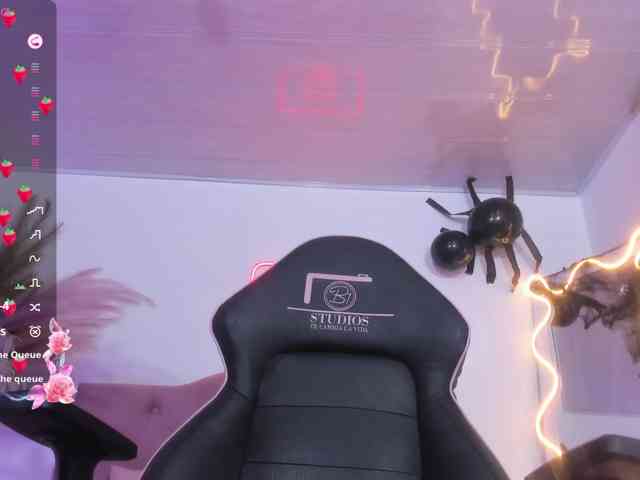 Palmerfox-tay webcam