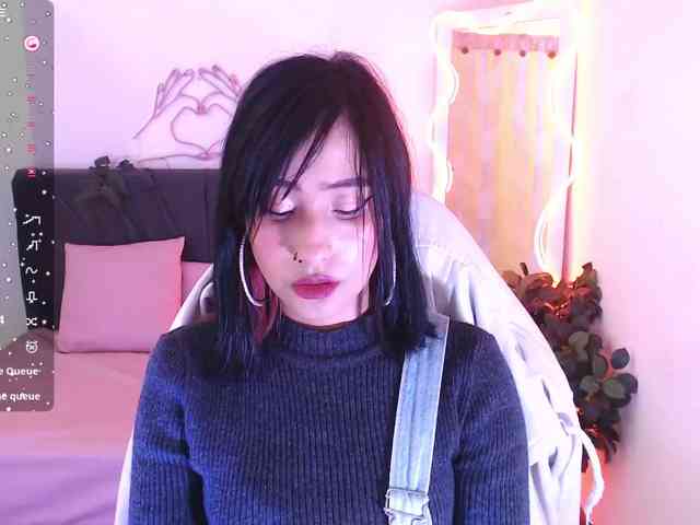 Palmerfox-tay webcam