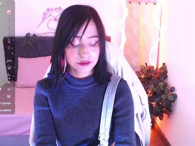 Palmerfox-tay webcam