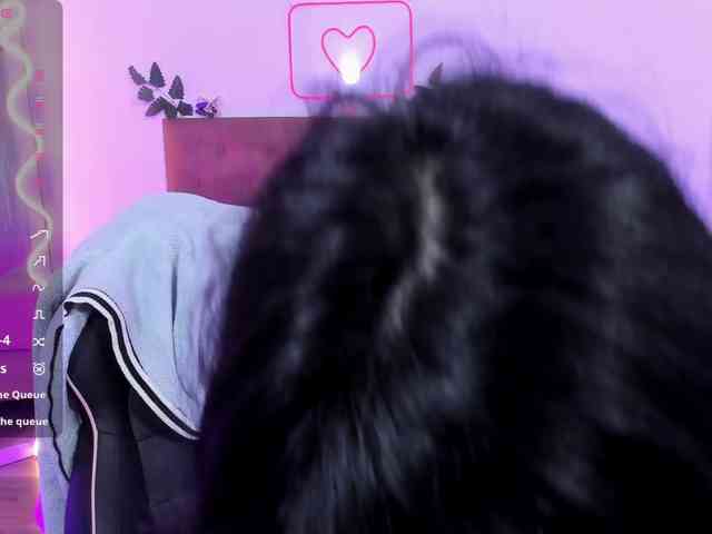 Palmerfox-tay webcam