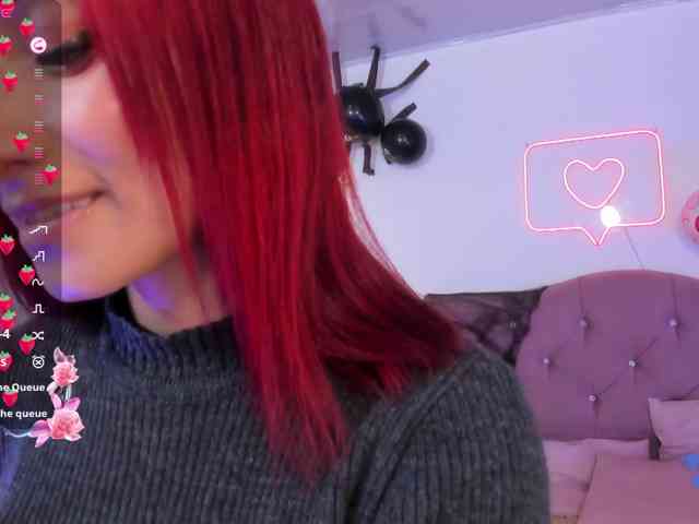 Palmerfox-tay webcam