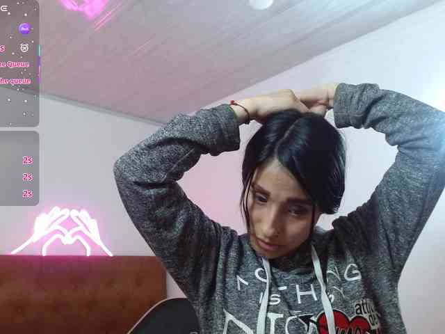 Palmerfox-tay webcam