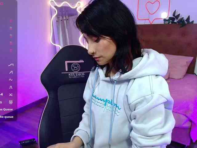 Palmerfox-tay webcam