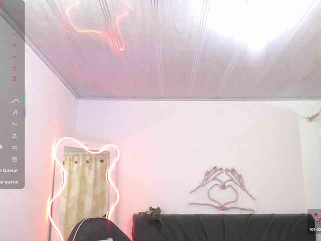 Palmerfox-tay webcam