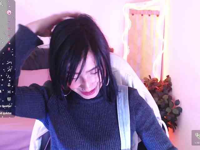 Palmerfox-tay webcam