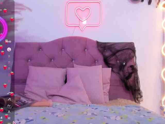 Palmerfox-tay webcam
