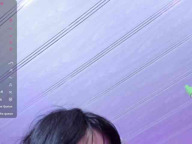 Palmerfox-tay webcam