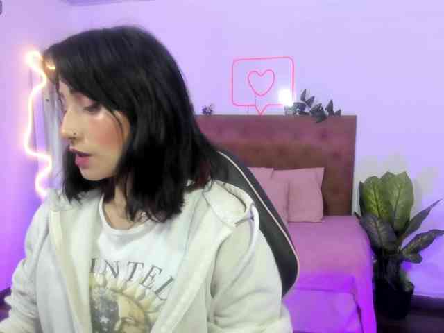 Palmerfox-tay webcam