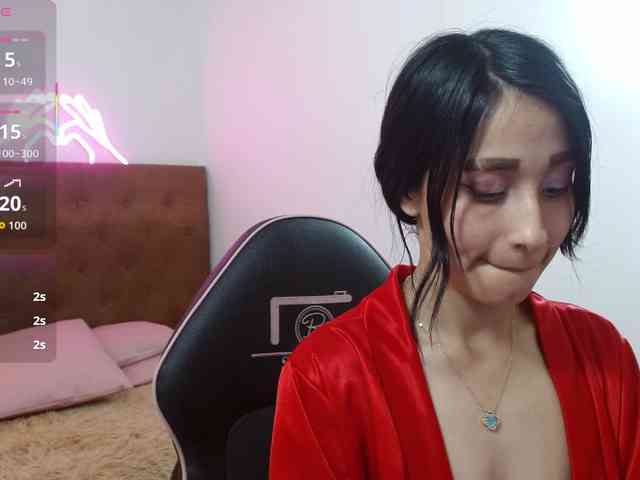 Palmerfox-tay webcam