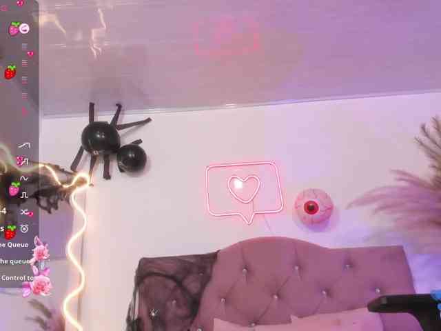 Palmerfox-tay webcam