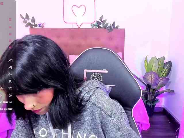 Palmerfox-tay webcam