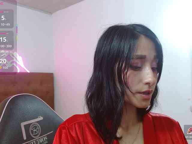 Palmerfox-tay webcam