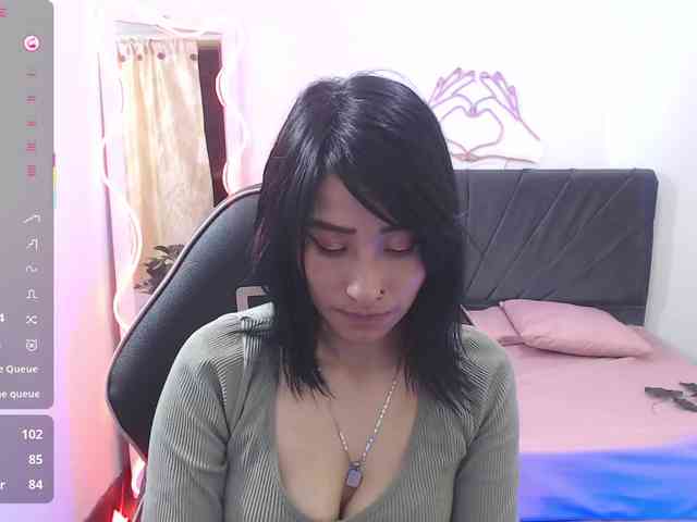 Palmerfox-tay webcam