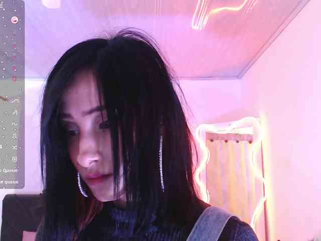 Palmerfox-tay webcam