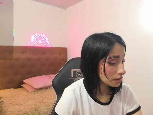 Palmerfox-tay webcam