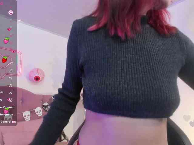 Palmerfox-tay webcam