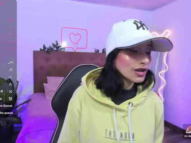Palmerfox-tay webcam