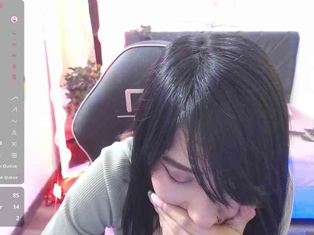 Palmerfox-tay webcam