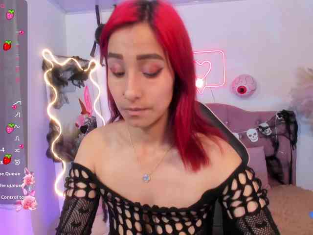 Palmerfox-tay webcam