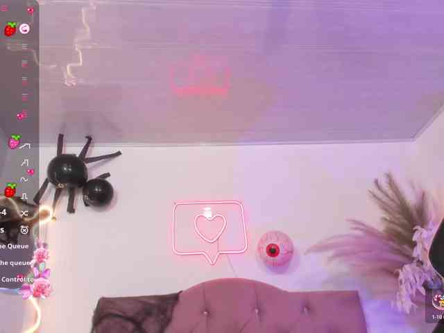 Palmerfox-tay webcam