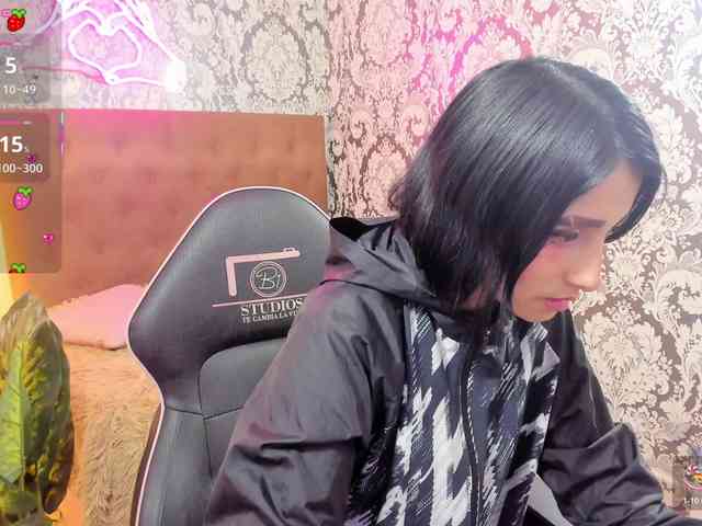 Palmerfox-tay webcam