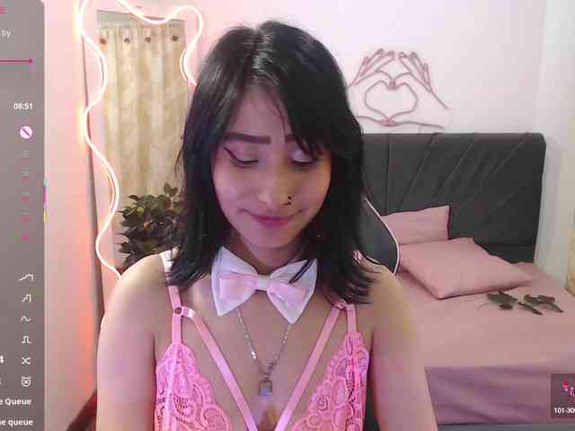 Palmerfox-tay webcam