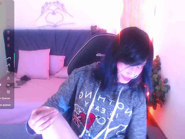 Palmerfox-tay webcam