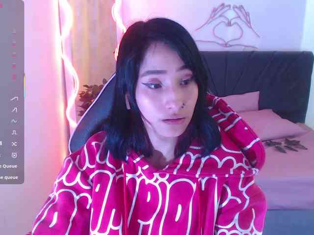 Palmerfox-tay webcam