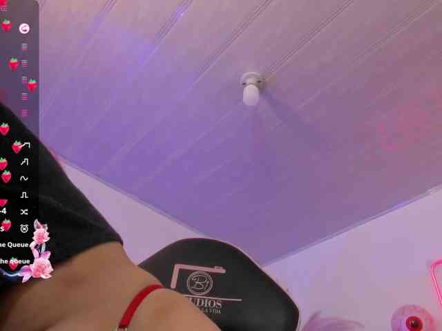 Palmerfox-tay webcam